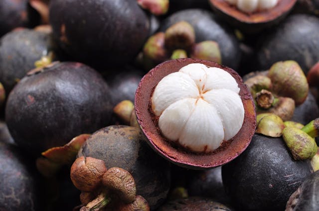 mangosteen