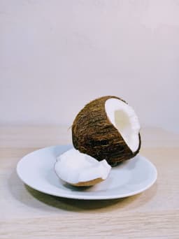 coconut flesh