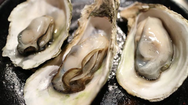 oysters