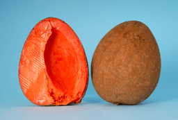 mamey sapote