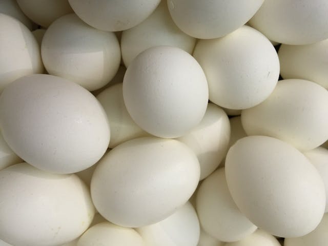 goose eggs