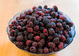 Andrean raspberries