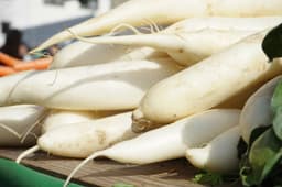 white radish