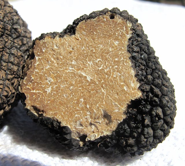 truffles