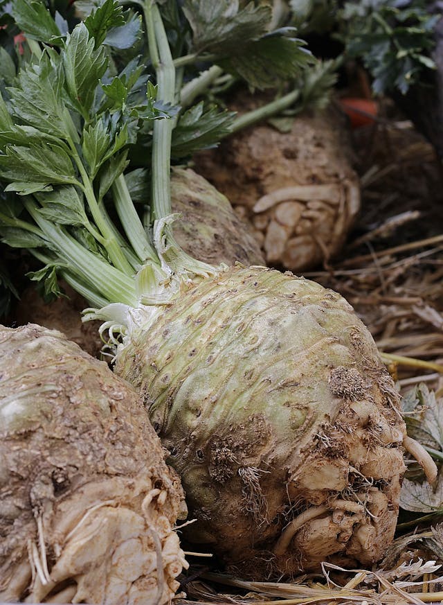 celery root