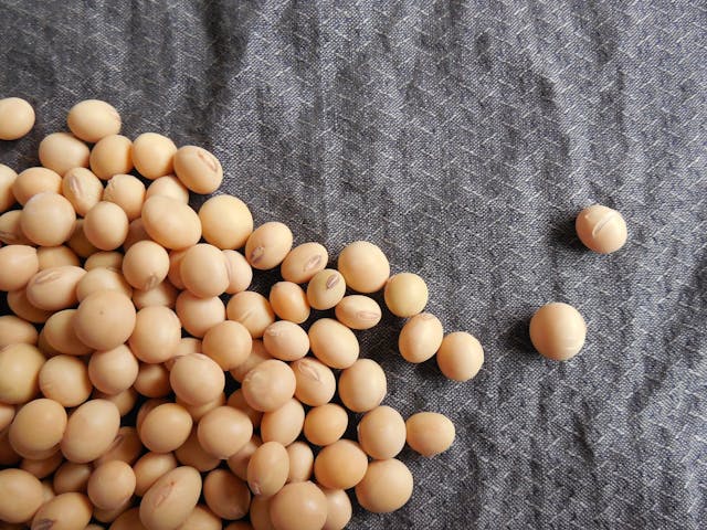 soybeans