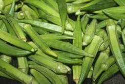 okra