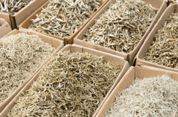 dried small fish