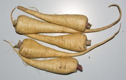 Parsnip