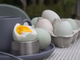 duck eggs