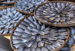 dried tilapia