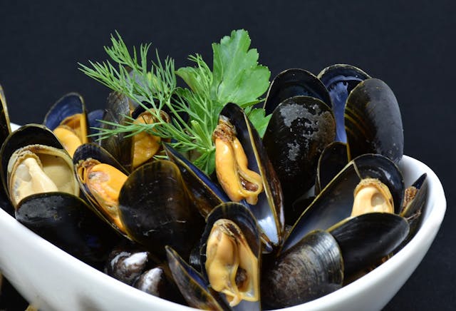 mussels