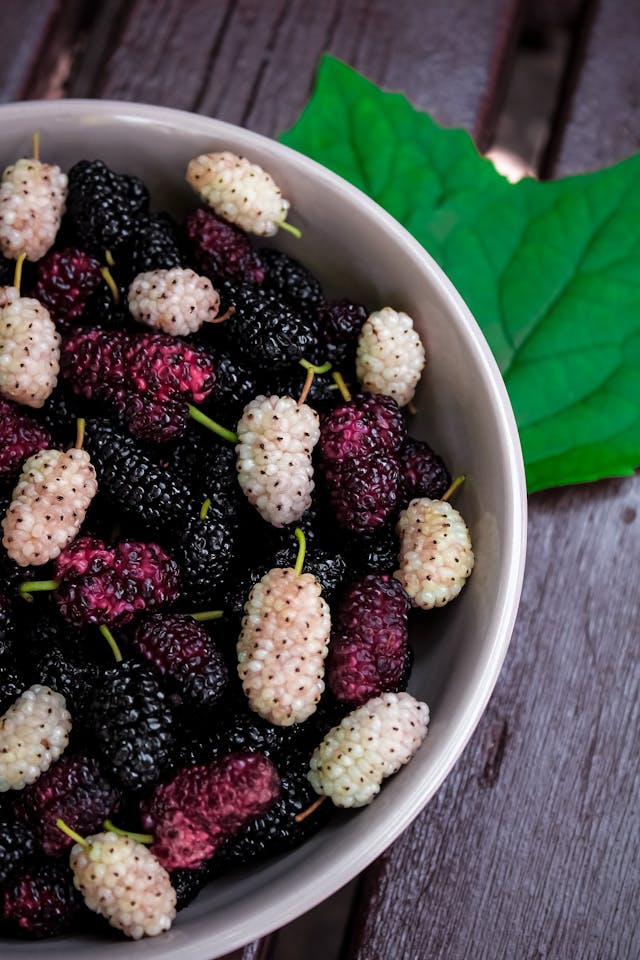 mulberries