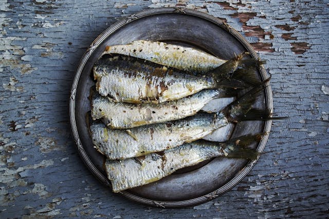 sardines