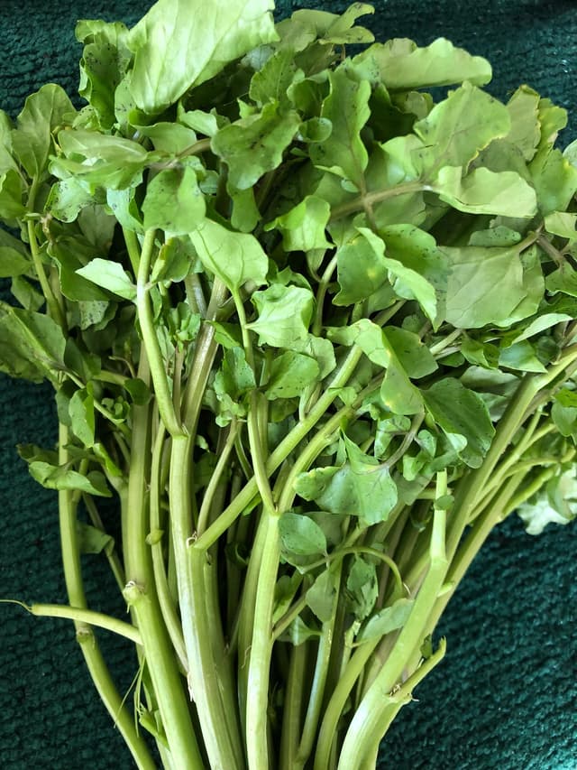 watercress