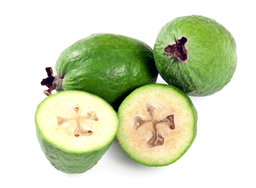 feijoa