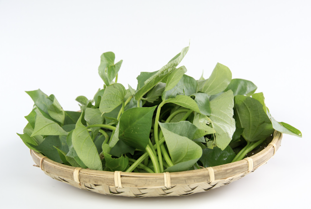 sweet potato leaves