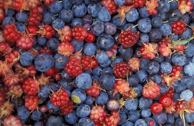 wild berries